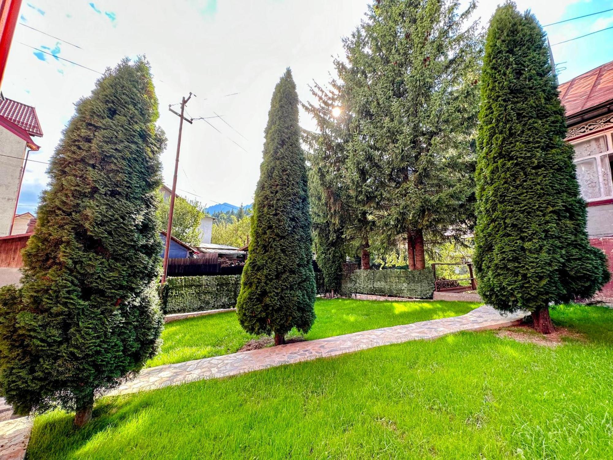 Готель Valea Alba View - Self Check-In Буштені Екстер'єр фото