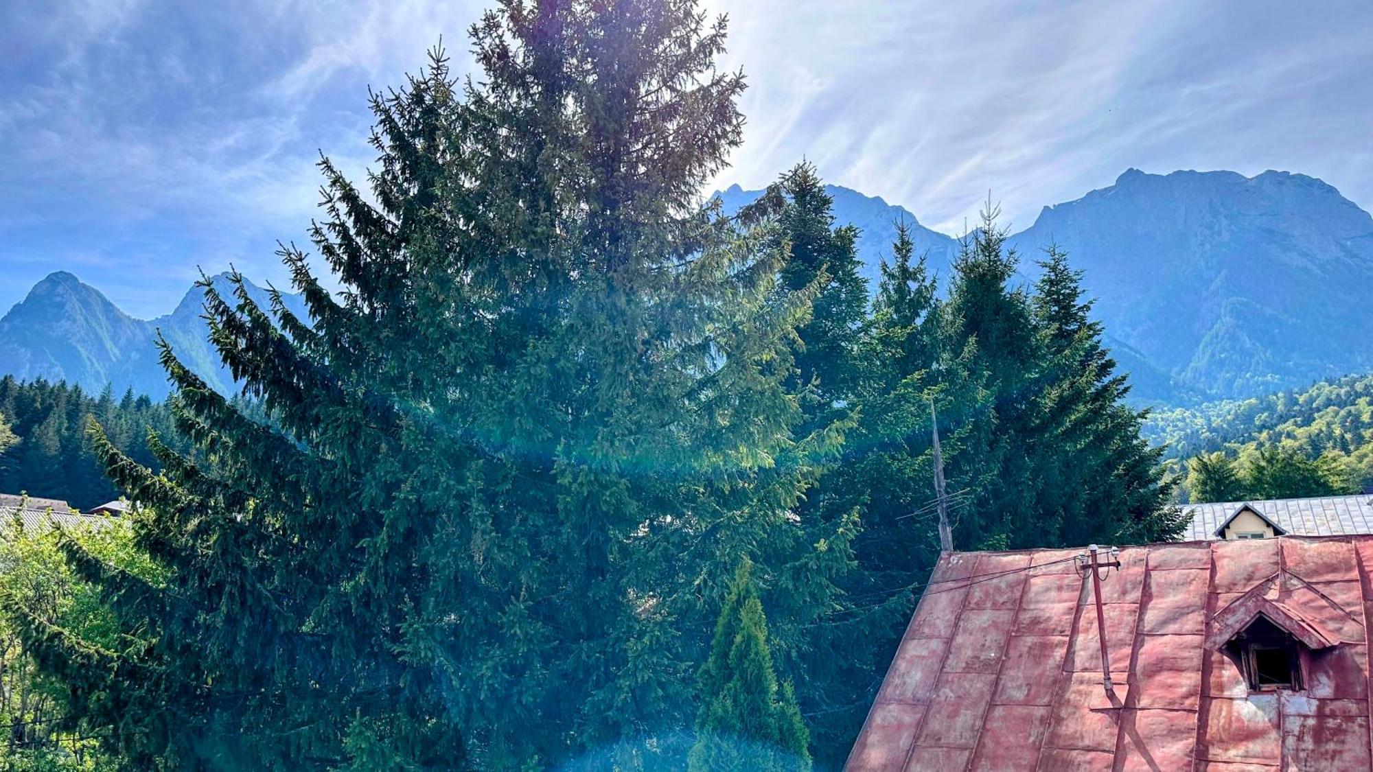 Готель Valea Alba View - Self Check-In Буштені Екстер'єр фото